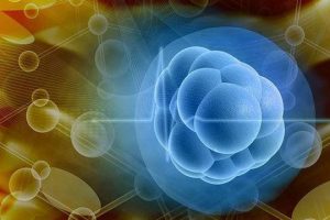 试管婴儿平均几次成功？