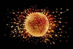 用别人的精子做试管婴儿的成功概率有多少？