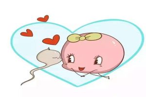 试管婴儿鲜胚成功率高不高？