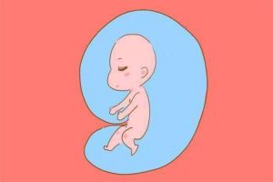 怎样提高试管婴儿的成功率？