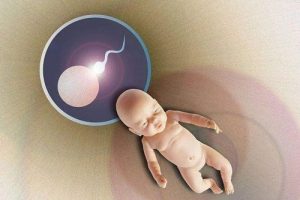 注意：试管婴儿胚胎培养囊胚并非适合所有人