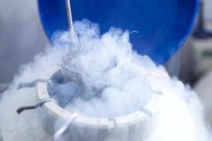 试管婴儿精子怎么保存？