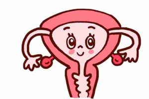 子宫内膜厚会影响试管婴儿着床吗？