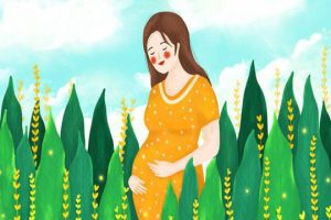 试管婴儿双胞胎易流产是真的吗？
