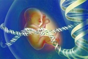 想知道做第三代试管婴儿双胞胎长得一样吗？