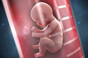 了解试管婴儿医院口碑哪个技术好