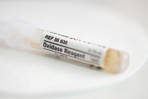 能做试管婴儿的医院要多少费用