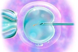 日照可以做试管婴儿吗？附试管姐妹实例经验