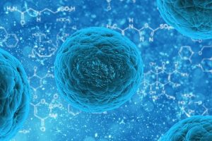 文昌试管医院哪家好？成功率费用如何？