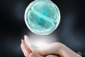 苏州卵巢早衰做试管成功率医院排名，附医院选择指南