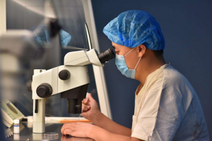 郑州试管婴儿成功率新排名，附河南省试管医院排行