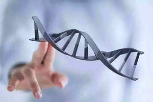 ：第三代试管婴儿医院，附成功因素