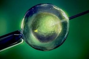 新第三代试管费用多少？内附全国医院推荐