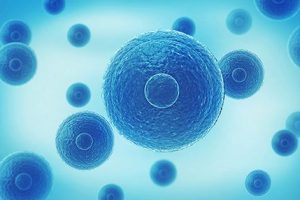 汇总江西试管医院排名,附成功率前3推荐