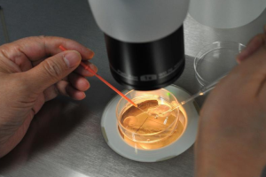 ：北京火热试管医院排名，附三代试管医院推荐