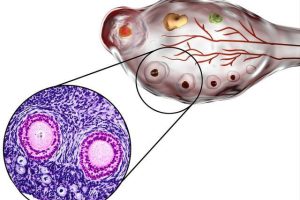 更新8家天津试管医院排名,附成功率前4推荐