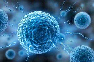 ：山西试管医院排名，附三代试管成功率因素