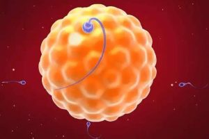 黑龙江做试管双胞胎哪家医院好?成功率如何？