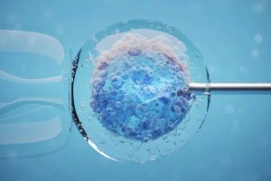 河北试管助孕的医院名单，仅2家医院能做三代