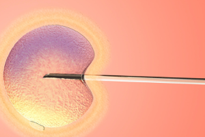 浙江试管医院哪家好？哪家能做第三代试管？