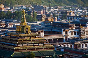 甘肃试管婴儿医院_费用_成功率介绍