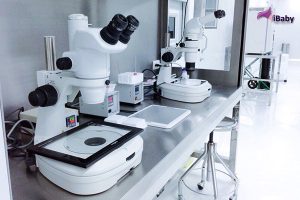 三代试管婴儿哪家医院成功率高？