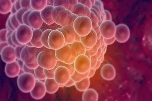 试管婴儿医生只让做一个移植吗？