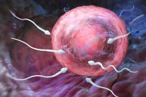 泰国全球生殖中心怎么样，好不好？