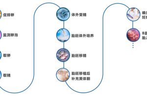 深圳第三代试管婴儿流程具体有哪些?