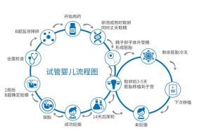 第三代试管婴儿的流程