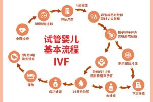 试管婴儿从开始准备到成功需要多久