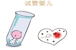 第三代试管婴儿流程介绍