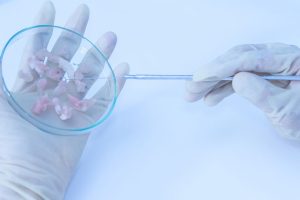 做试管婴儿多久才能知道成功？