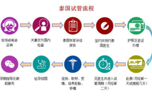 泰国试管婴儿流程步骤解读