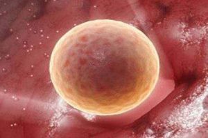做试管婴儿是否检查hpv