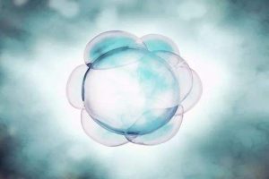 试管婴儿检查项目清单赶紧查收
