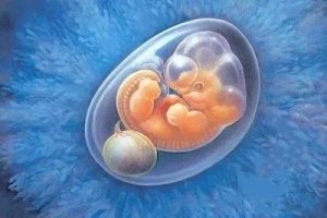 备孕一直怀不上是什么原因？附提高受孕率科学方法