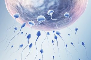 女性不孕需要提前做哪些检查？这些项目一定要提前了解