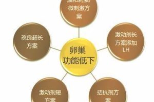 泰国试管婴儿促排方案分哪几种？