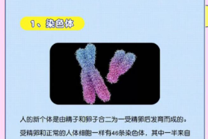 备孕怀不上是怎么回事？从哪些方面调理身体