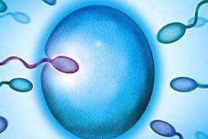 做试管婴儿是排卵多好还是少好？