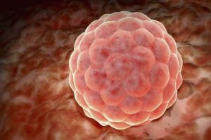 试管婴儿次促排卵泡少怎么办？