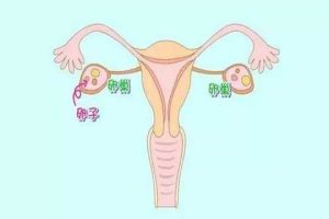 试管婴儿取卵后卵巢怎样恢复快？