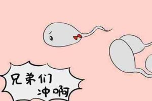 试管婴儿取精前用打针吗？