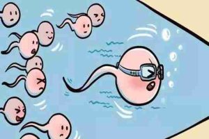 试管婴儿可以连续两次取精吗？