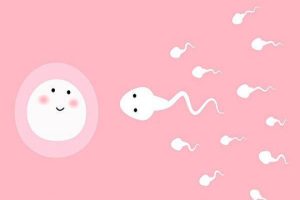 试管婴儿取精子过程会痛吗？