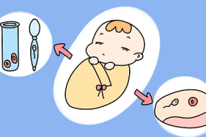 试管婴儿胚胎移植熬夜会导致失败吗？有没有影响！