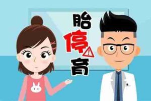 试管婴儿移植后两个半月胎停的原因是什么？