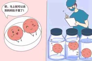 泰国试管婴儿为什么一定要养囊后移植？