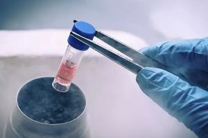 试管婴儿什么时候移植才比较好？